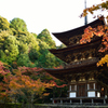 秋陽の塔