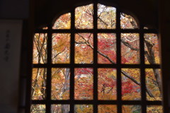 格子窓の秋