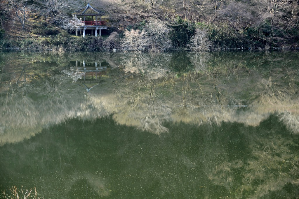 早春の川面