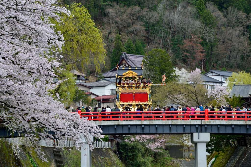 山車と桜と赤い橋