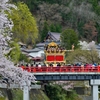山車と桜と赤い橋