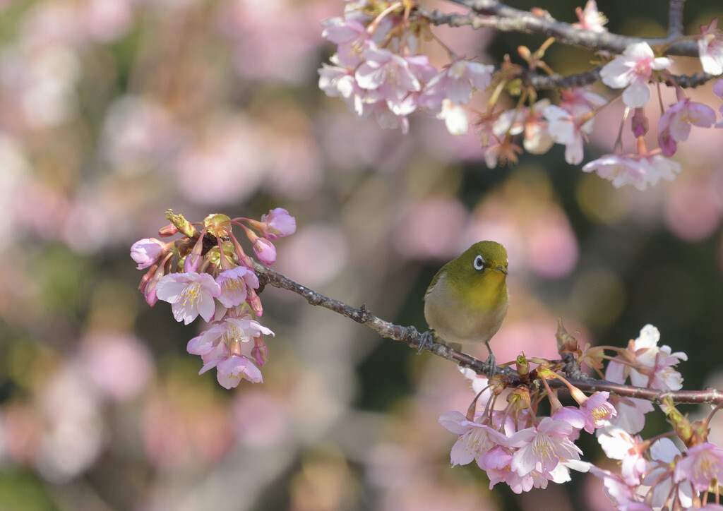 春陽の中で