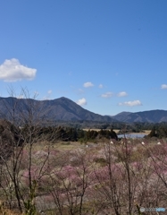 梅園の雲　Ⅱ