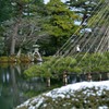 薄化粧の園