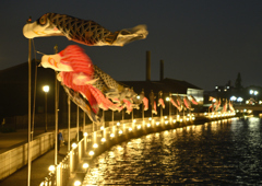 夜空に泳ぐ