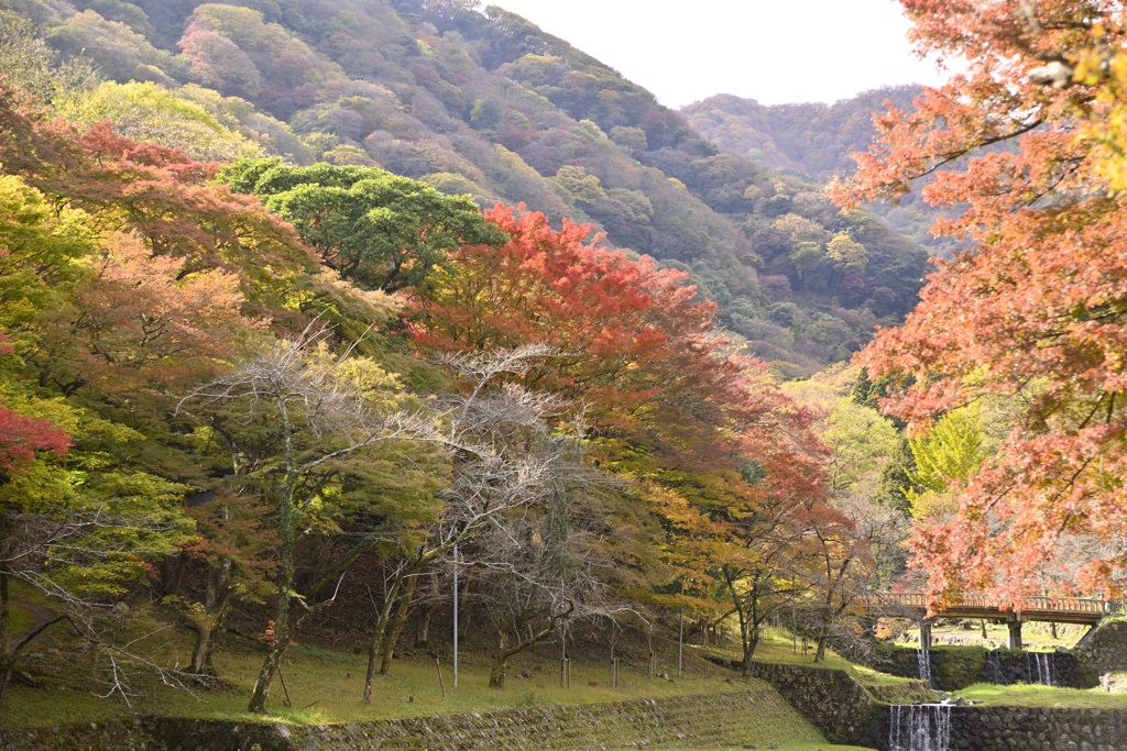 秋の移ろい