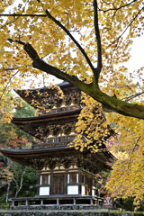 晩秋の塔