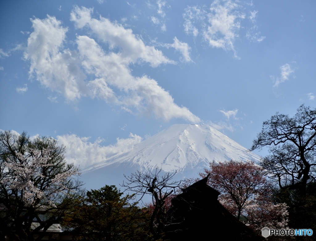 春の富士景