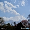 春の富士景