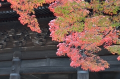 京都の秋　