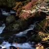 秋のせせらぎ