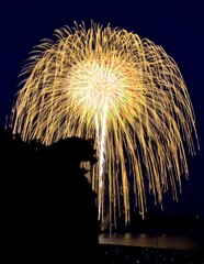 夜空に吠える