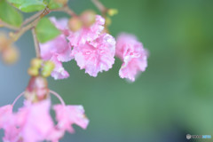 優しさを♡
