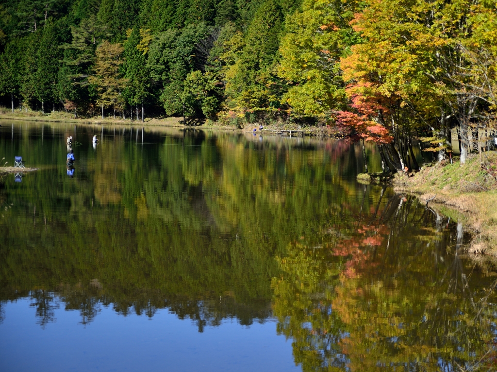 初秋の湖