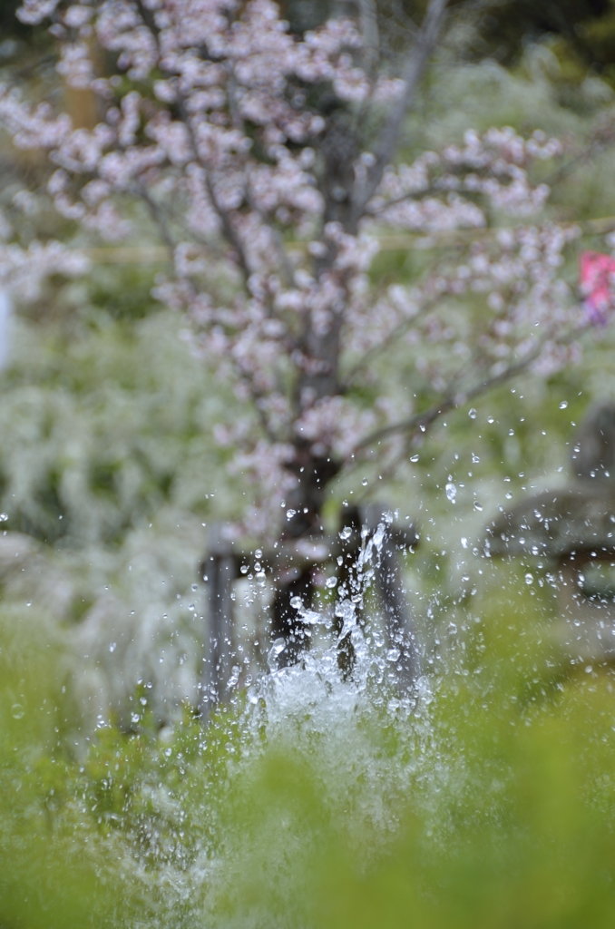 春の陽気に誘われて