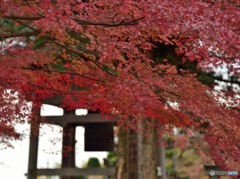 寺巡り　Ⅰ