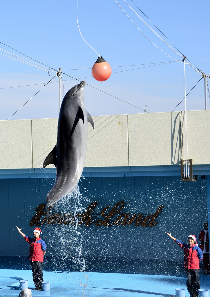 ｊｕｍｐ