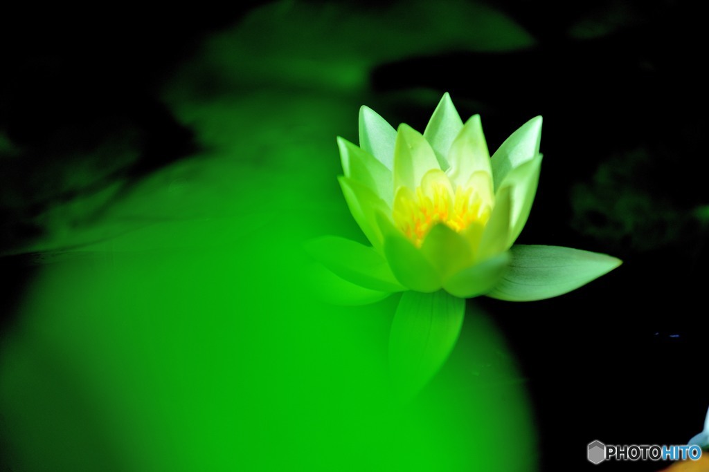 green