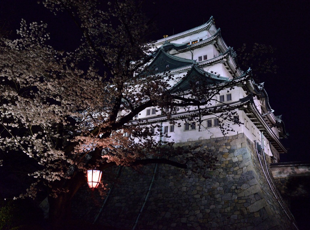 暗夜にそびえる