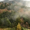 高原の秋❶