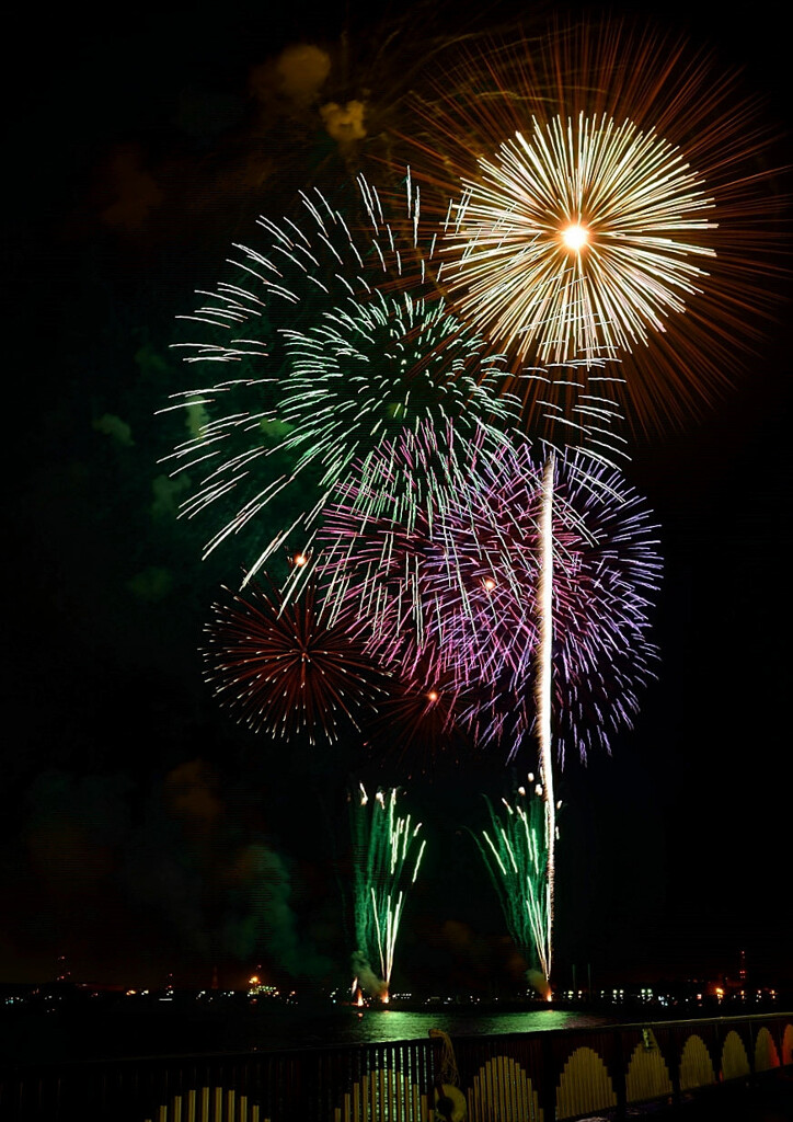 夜空に咲く夏の花