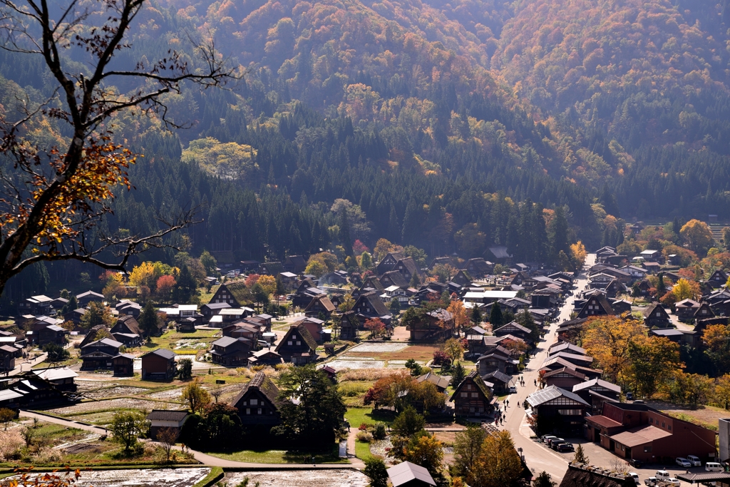 箱庭の秋