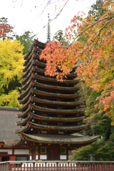 談山神社の小さな秋