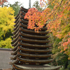 談山神社の小さな秋
