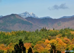 秋色と白山のコラボ