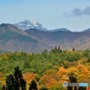 秋色と白山のコラボ