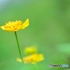 霞みの中で