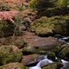 渓流の秋