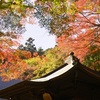 普門寺の紅葉