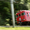 新緑と紅い電車