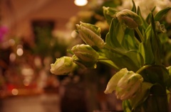 チューリップ！