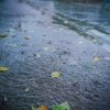 水溜りの叫び