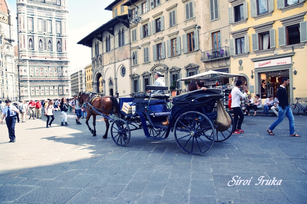 馬車(ｲﾀﾘｱ編)