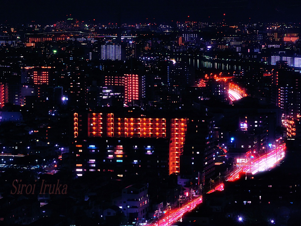 都会の夜