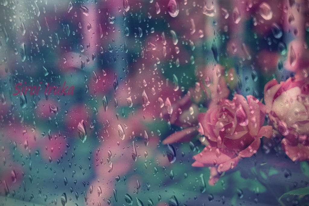 雨の中の貴方