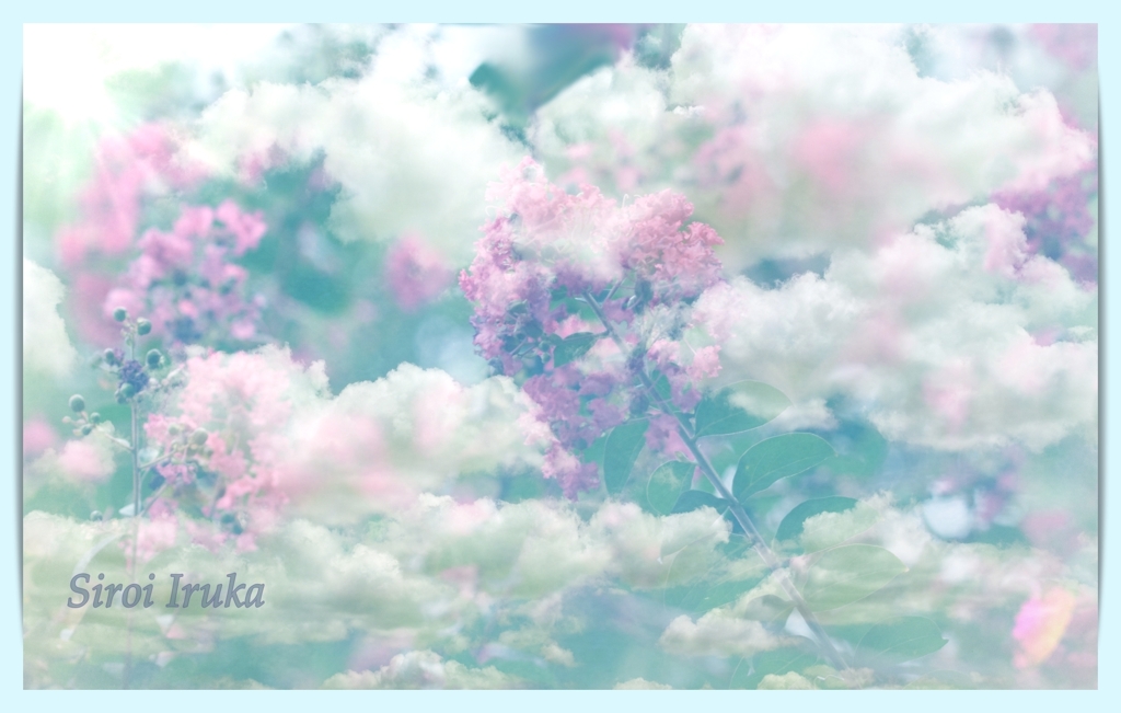 雲に乗りたい