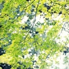 空気と色を感じて。。。。。。