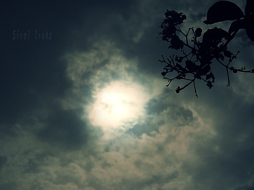 太陽と雲