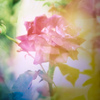 貴方の色に染まりたい
