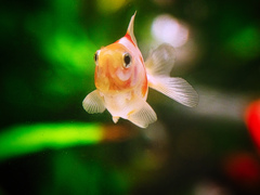 どこに遊びに行こうかな