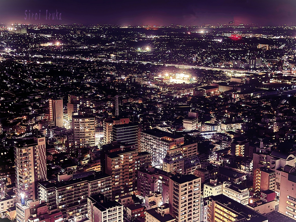 アイリンクタウンからの市街地　４