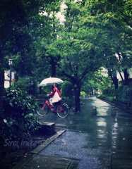 雨の中の赤い自転車