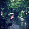 雨の中の赤い自転車