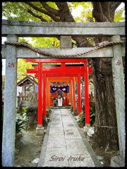 千種稲荷神社