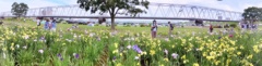 楽しいひと時
