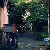 路地裏に咲く